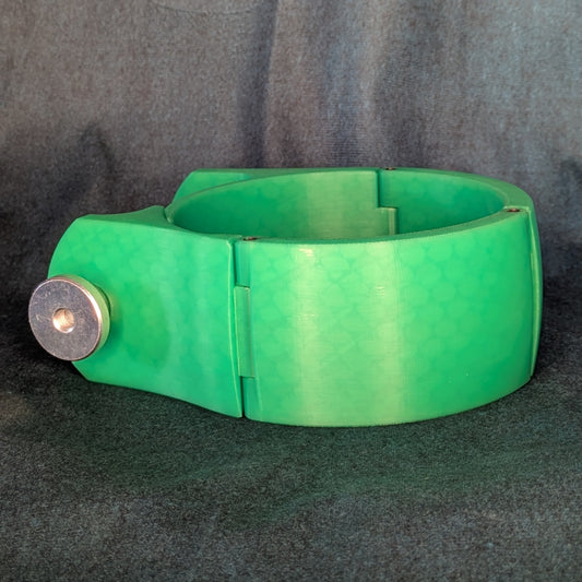 Second Chance Collar